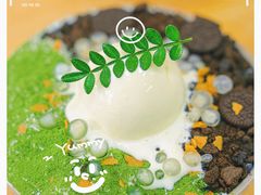 -豆豆冰室·地道招牌椰子冻(大良店)