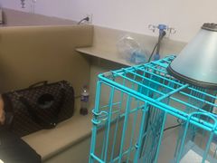 -喜多萌中农锦绣动物医院24H·猫科·牙科MRI·CT