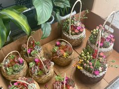 -FEI FEI FLOWER鲜花店·气球派对·宝宝宴布置(虹口德必运动Loft店)