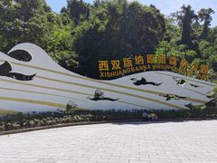 -西双版纳原始森林公园