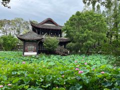 -桂湖森林公园