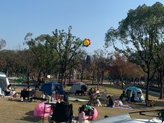 -新江湾城公园