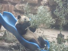 -石家庄市动物园