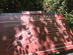 -九曜山