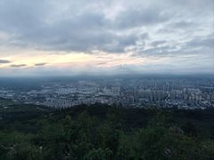 -长虫山生态公园风景林