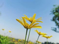 -白鹭湾湿地公园