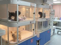 -翊宠yipet猫狗购宠庄园犬舍•猫舍