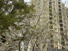 -徐家汇源景区-衡山公园