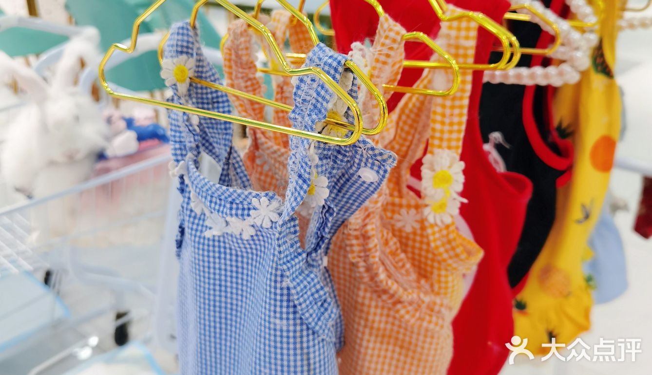 Nice 🐰meet U-魔都遇见萌兔