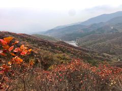 -北京西山国家森林公园