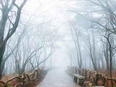 -黄山北海宾馆