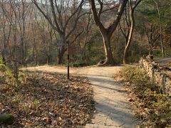 -南京市无想山景区