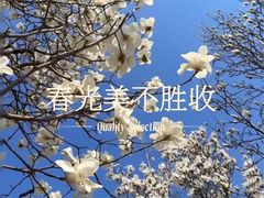 -济南国际园博园