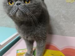 -瑞虹新天地月亮湾