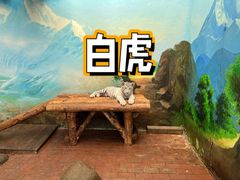 -上海野生动物园