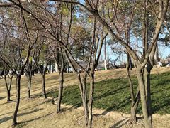 -美兰湖景区
