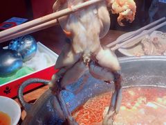 -老天桥蛙炉火锅(姑苏总店)