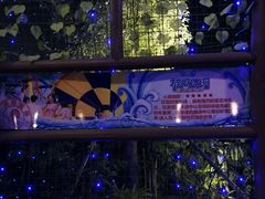-厦门方特水上乐园