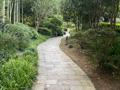 -龙井草堂