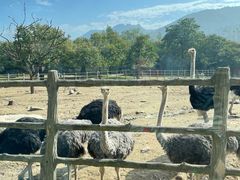 -西安秦岭野生动物园