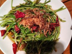 -菌自由丨野生菌火锅特色庭院餐厅(丽江古城店)