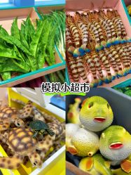 -米兜欢乐王国·儿童乐园(宝安益田假日天地店)
