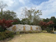 -雅达·阳羡溪山小镇中心