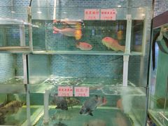 -东国海鲜火锅城(氹仔店)