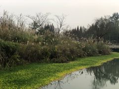 -巴蜀大宅门火锅(新华公园店)