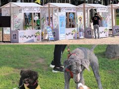 -欢乐海岸椰林沙滩-2025湾区超级灯会
