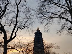 -红梅公园