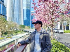 -深圳湾万象城(南山店)