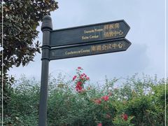 -成都南湖公园