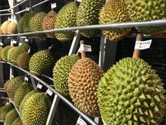 -都念榴莲·城市榴莲