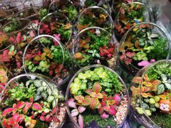 -KKV(深圳宏发大仟里店)