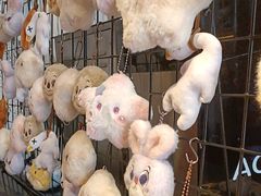 -合风谷(南下塘店)