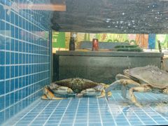 -诚园新喜洋餐厅