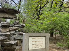 -北京动物园-畅观楼