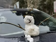 -武陵山森林公园