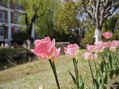 -杭州电子科技大学(下沙校区)