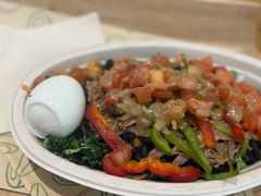 -油梨树 AVOCADO TREE(亮马桥店)