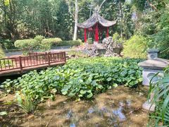 -深圳国际园林花卉博览园