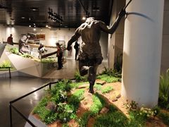 -北京周口店北京人遗址博物馆