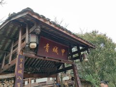 -青城甲(青城山店)