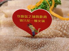 九秒鲜毛肚-谭鸭血老火锅(正佳广场店)
