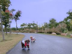 -上海长兴岛郊野公园