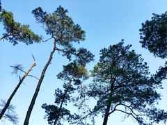 -飞霞风景名胜区