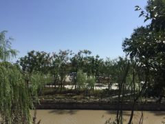 场地-川沙古镇-停车场
