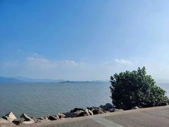 -深圳湾公园(南山区)