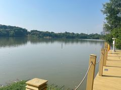 -华侨城湿地公园